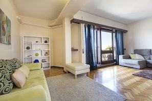 TV, fireplace, DVD player, books