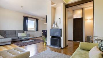 TV, fireplace, DVD player, books