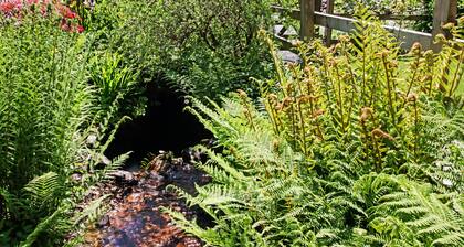 Cascade Cottage, Exford