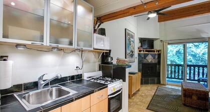 Mt. Baker Majoitus Condo # 94 - Suuri huoneisto lähellä hiihto ja vaellus! Nyt on Wifi