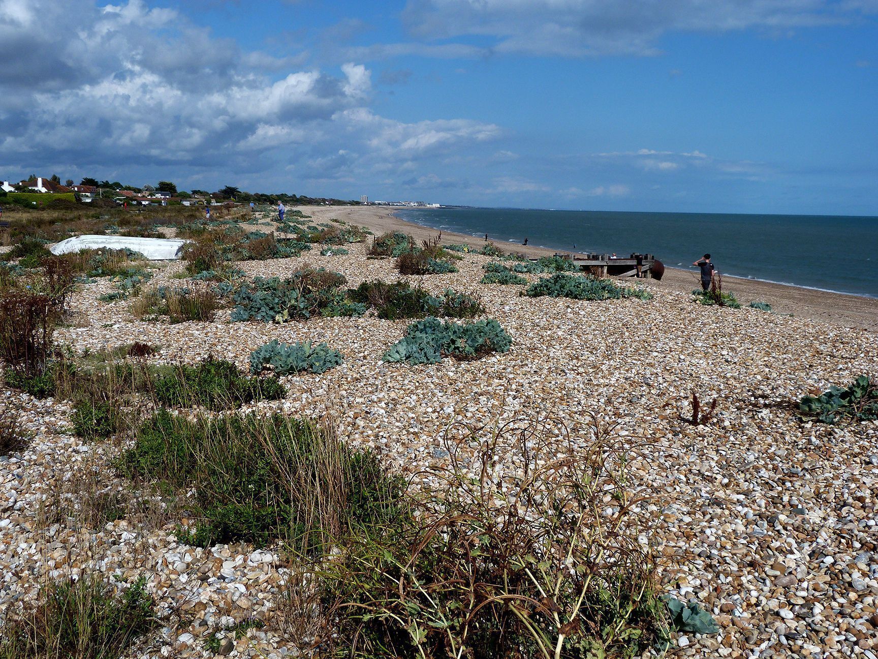 A pebbled beach with sparse vegetation and a clear view of the sea.