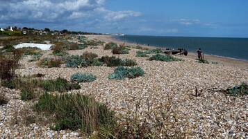 A pebbled beach with sparse vegetation and a clear view of the sea.
