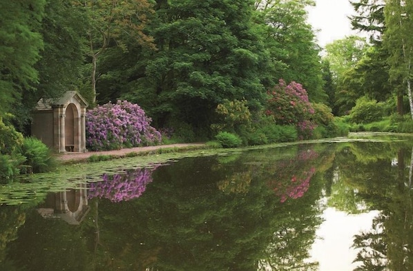 Temple Pool, a haven for wildlife and an ideal area for picnics