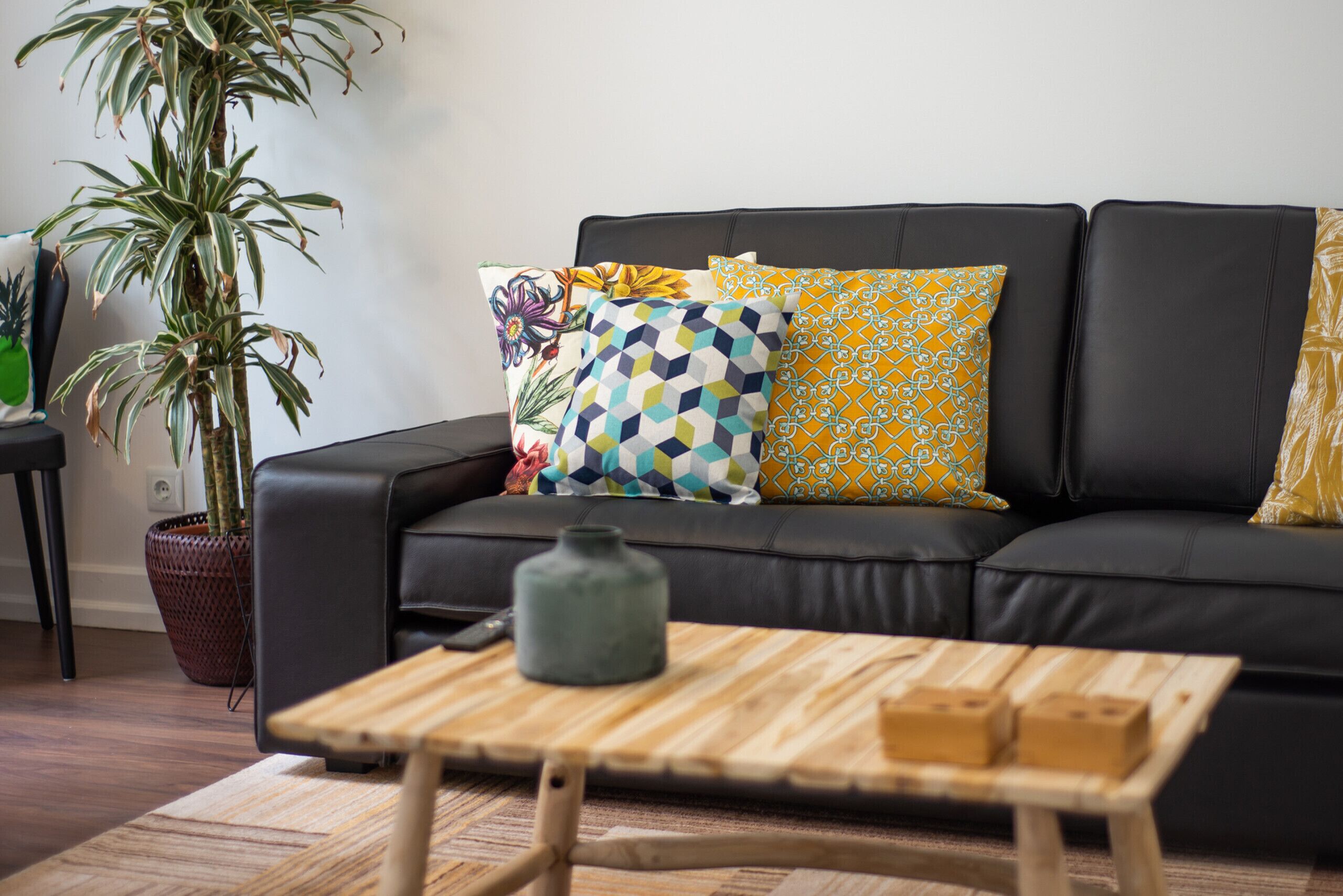 Televisión, reproductor de DVD y libros 