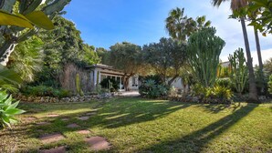 A garden with a house, cacti, palm trees, and a stone pathway.