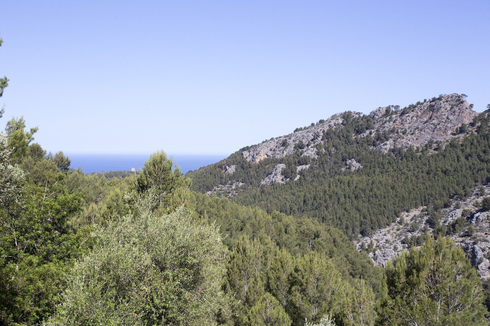 Un paisaje montañoso con bosque denso y terreno rocoso.