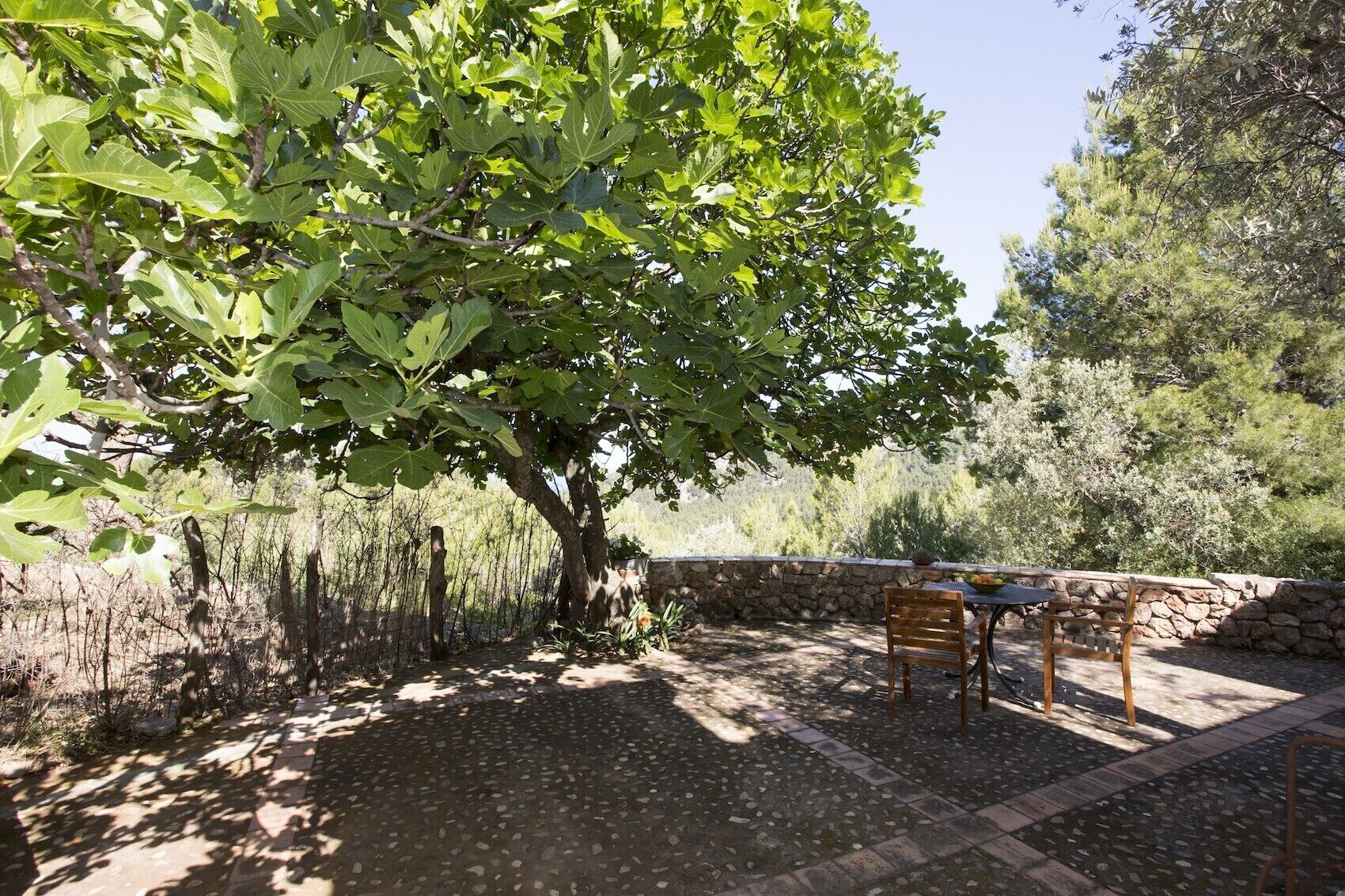 Un espacio al aire libre con una pared de piedra, una mesa y sillas bajo un árbol grande.