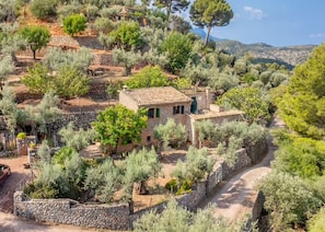 A rustic stone house surrounded by olive trees and a stone wall.