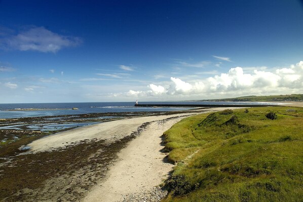 A coastal landscape with a sandy path, grassy areas, and a distant pier.