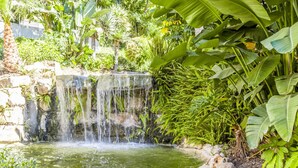 Una cascada en un jardín exuberante con follaje denso y un pequeño estanque.