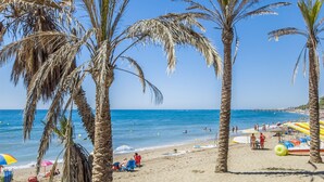 Una playa con palmeras, sombrillas y sillas de playa.