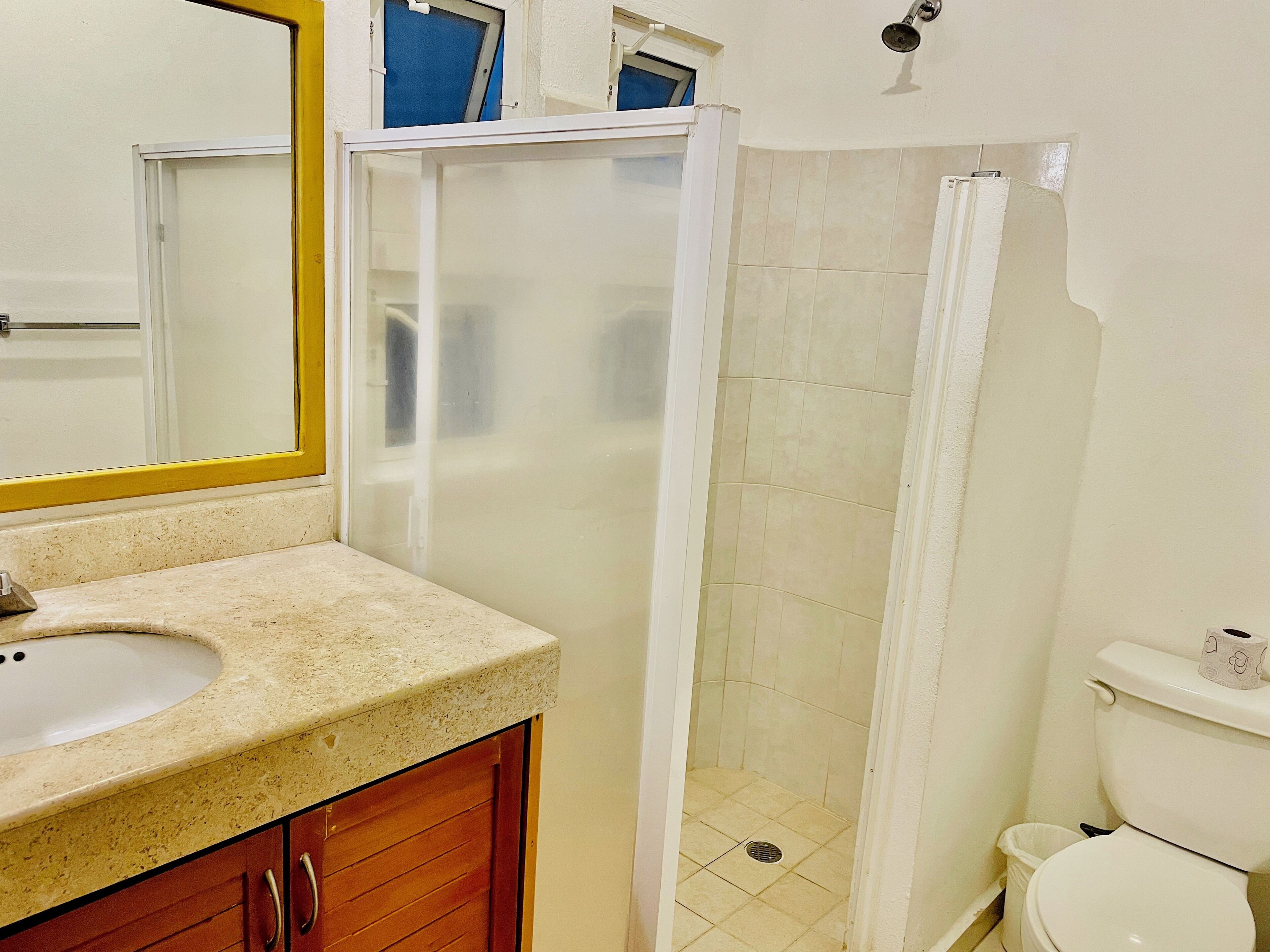 A bathroom with a sink, mirror, shower, and toilet.