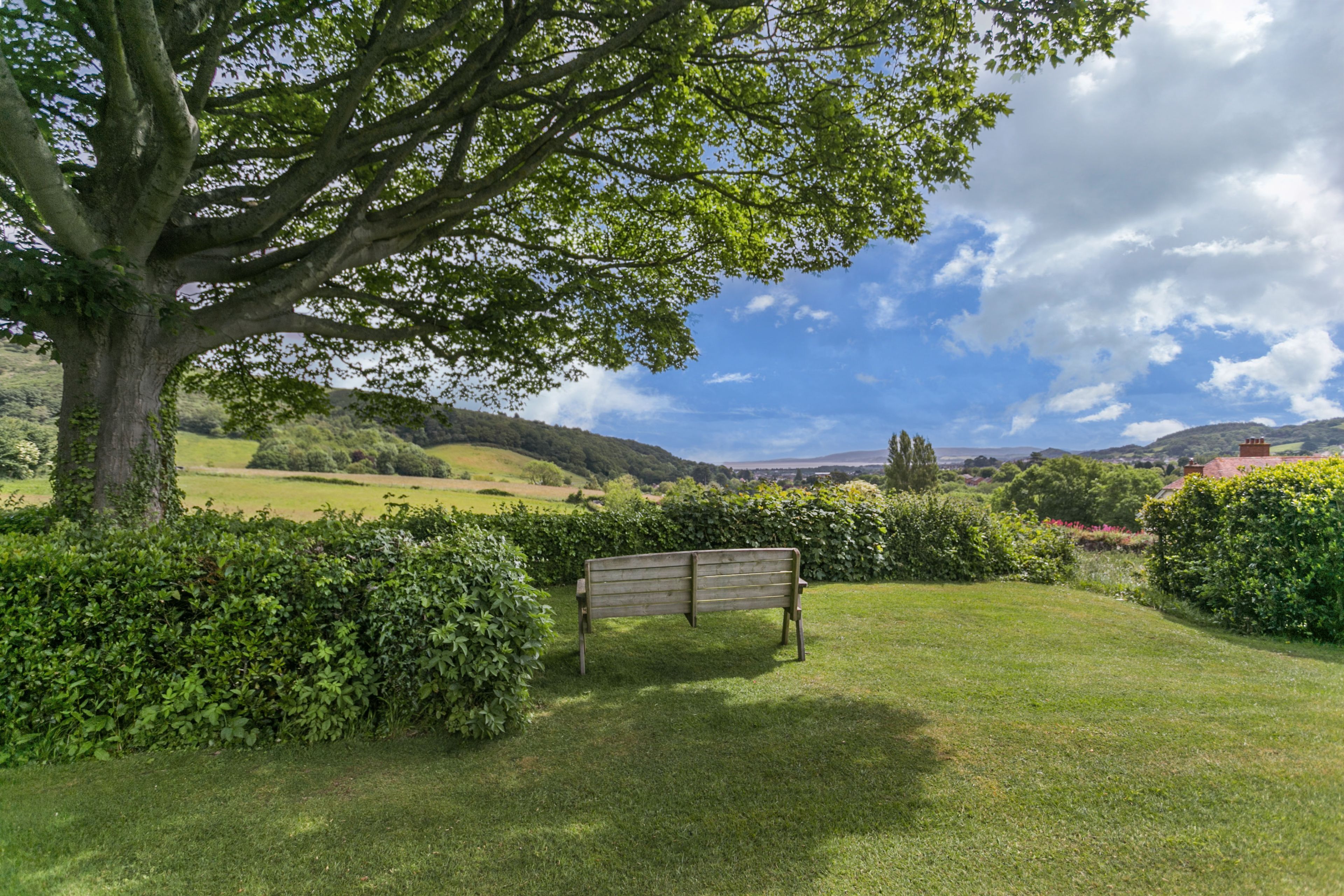A bench in a grassy area with a large tree and a view of hills in the background.