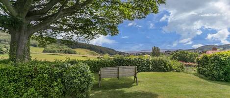 A bench in a grassy area with a large tree and a view of hills in the background.