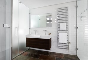 Shower, hair dryer, towels