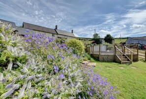 Property grounds - 3 Bed in Tiverton (oc-thresh) (Cove)