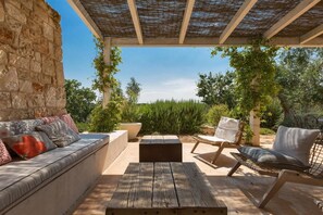 Terras