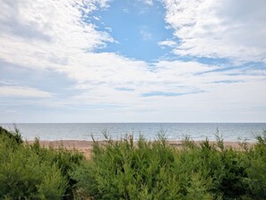 Una playa con cielo despejado y mar tranquilo.