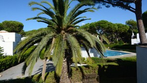 Eine Palme, ein Swimmingpool und ein weißes Gebäude.