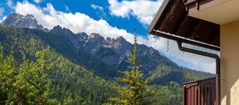 Villa Planina - Ground Floor Apartment, Ratece Kranjska Gora