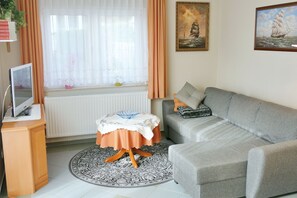 Fernseher