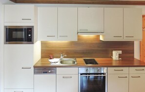 Kühlschrank, Mikrowelle, Herdplatte, Geschirrspüler