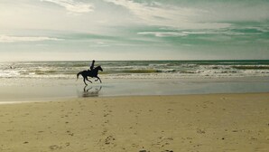 A beach scene with a horse and rider moving along the shore. - Beautiful home in Ringkøbing with sauna (Ringkøbing)