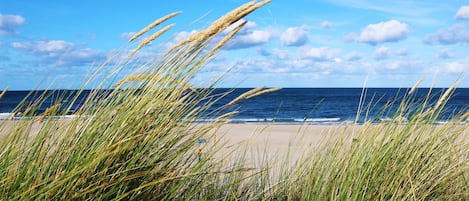 Playa en los alrededores