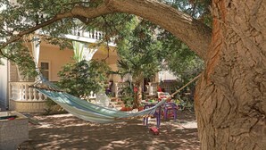 Una hamaca bajo un árbol en un patio con un edificio al fondo.