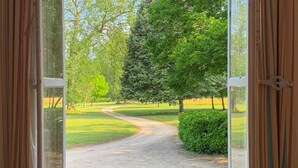 Une vue à travers une fenêtre sur une route de campagne qui mène à un paysage verdoyant, avec des arbres et une haie.