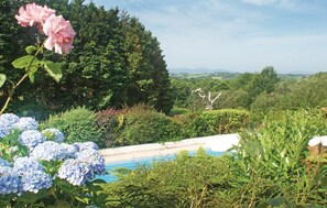 A pool surrounded by lush greenery and a variety of plants.