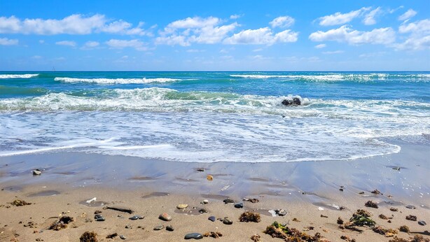 A beach with waves, pebbles, and seaweed. - El mirador de Calahonda (Calahonda)