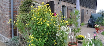Sommerhus 5P - Kleinbauernhof Mellenthin - Inselhof 02