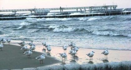 **500 m to the Baltic Sea beach** Apartment Elfi, 55m², - Elfi