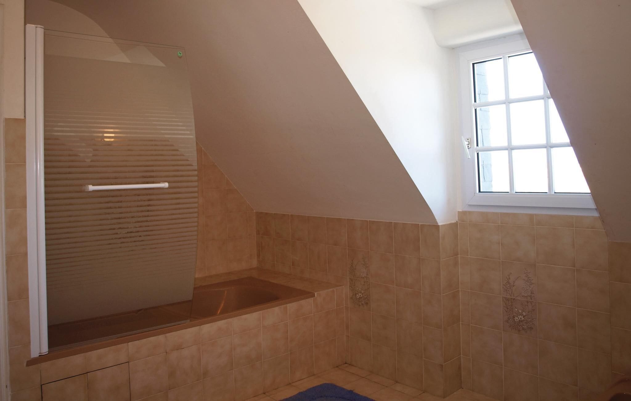 A bathroom with a shower, a window, and a skylight.