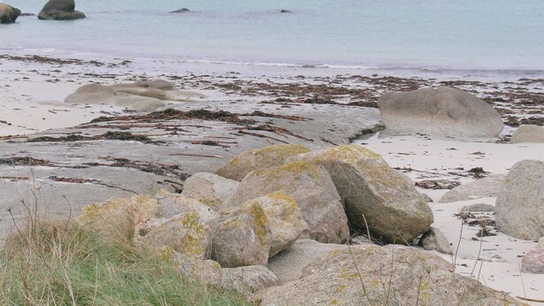 Une plage rocheuse parsemée de gros blocs de pierre et d’algues.
