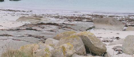 Beach nearby, fishing