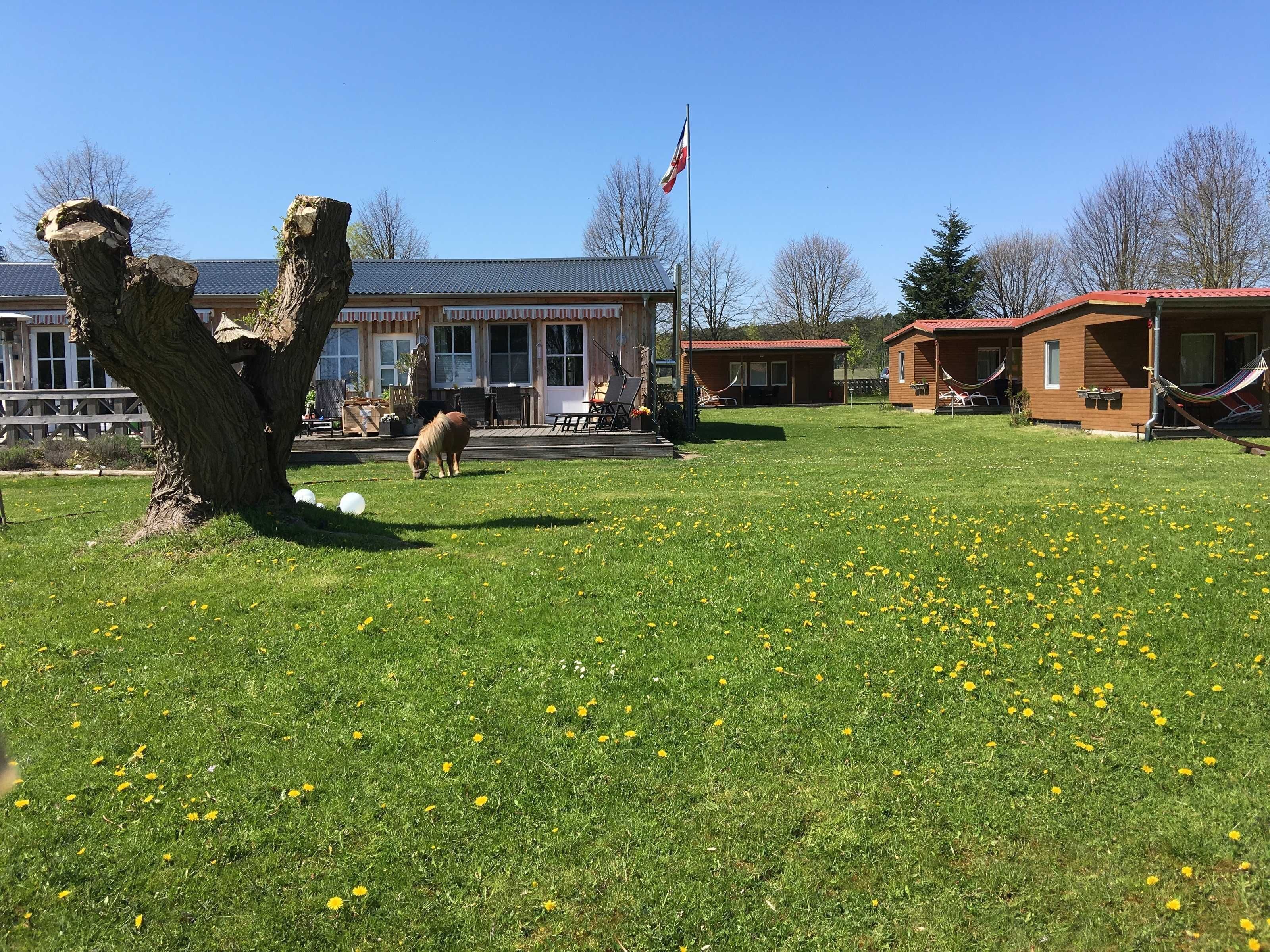 A grassy area with a tree, a building with a red roof, and a flag.