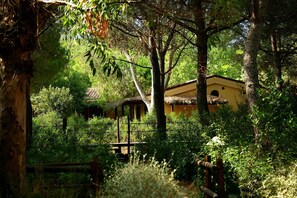 Property grounds - Bungalow in a holiday village (Castiglione della Pescaia)