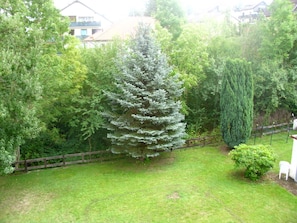 Um bairro residencial com gramado bem cuidado, cerca de madeira e diversas árvores.