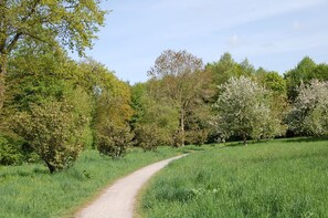 Unclassified image, 3 of 18, button - Holiday apartment - Ferienwohnung-Beethovenstrasse (Westerstede)