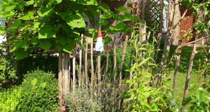 Ferienwohnung-Beethovenstrasse - Ferienwohnung