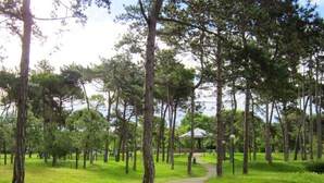 A pathway through a park with tall trees and a gazebo in the distance.