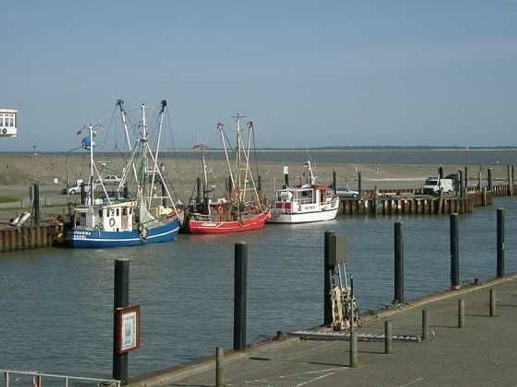 A marina with several boats docked, a clear sky, and a distant shoreline.