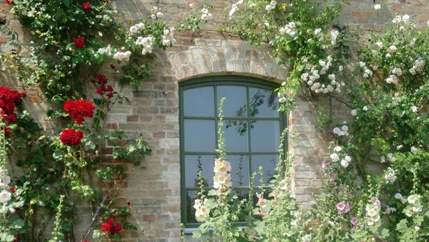 Un bâtiment en pierre avec une fenêtre verte et un mur recouvert de rosiers grimpants.