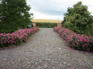 Overnatningsstedets område