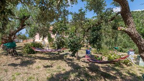Ein Garten mit Bäumen, einer Hängematte und Topfpflanzen.