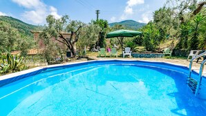 Ein klares, blaues Schwimmbecken, umgeben von Grünpflanzen und einigen Stühlen.