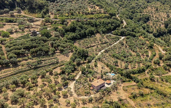 Vue aérienne d’une propriété rurale avec des rangées de vignes, une maison et la végétation environnante.