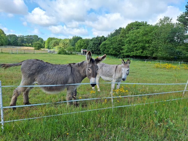 Imagen sin descripción, 1 de 32, botón